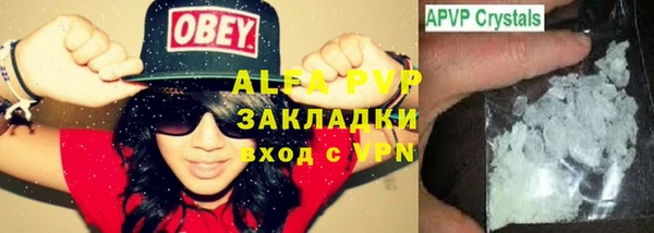 прущие грибы Абаза