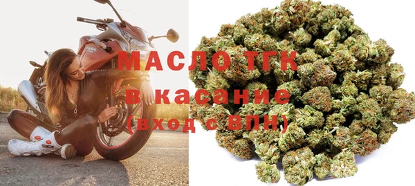 прущие грибы Абаза