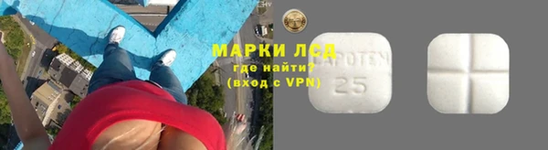 прущие грибы Абаза