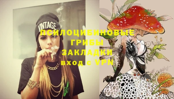 прущие грибы Абаза