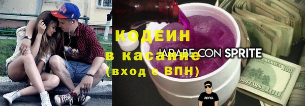 прущие грибы Абаза