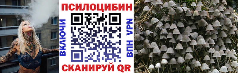 Псилоцибиновые грибы мицелий  Томилино 